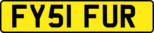 FY51FUR