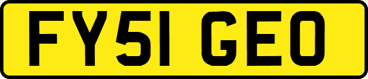 FY51GEO