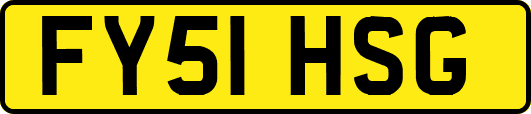 FY51HSG