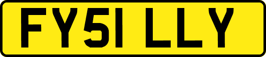 FY51LLY