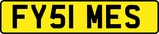 FY51MES