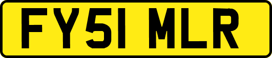 FY51MLR