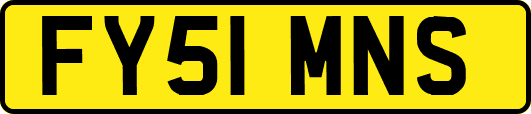 FY51MNS