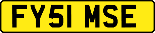 FY51MSE