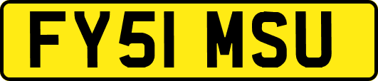 FY51MSU