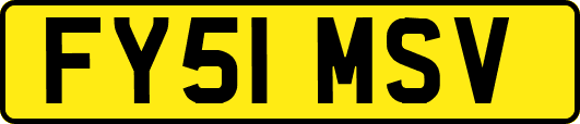 FY51MSV