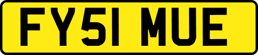 FY51MUE