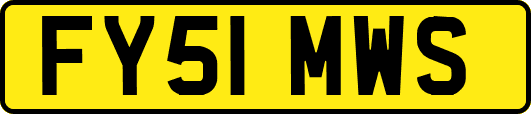 FY51MWS