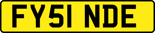 FY51NDE