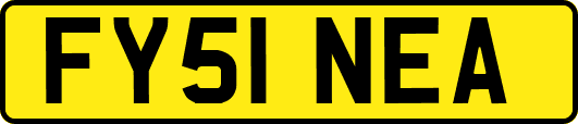 FY51NEA