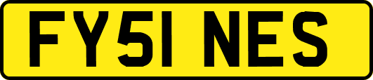 FY51NES