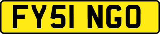 FY51NGO