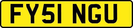 FY51NGU