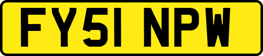 FY51NPW