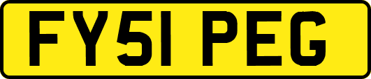 FY51PEG