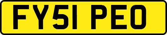 FY51PEO