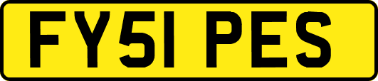 FY51PES