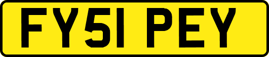 FY51PEY