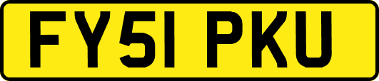 FY51PKU