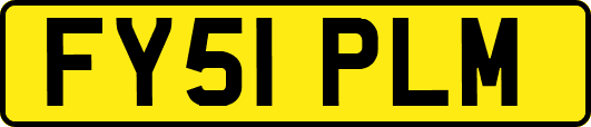 FY51PLM