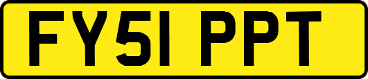 FY51PPT