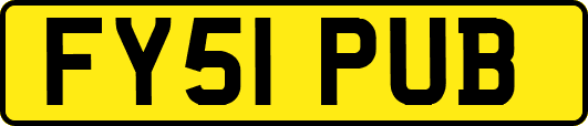 FY51PUB