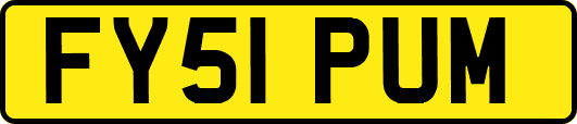 FY51PUM