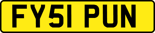 FY51PUN