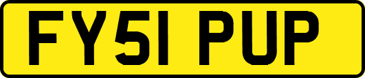 FY51PUP