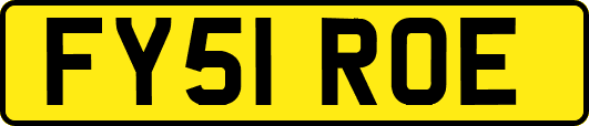 FY51ROE
