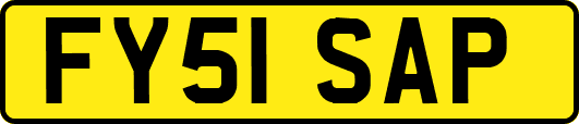 FY51SAP