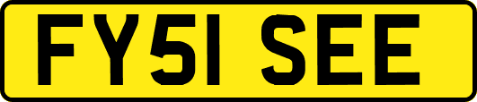 FY51SEE