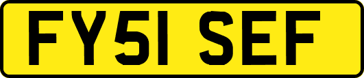 FY51SEF