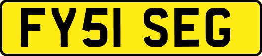 FY51SEG