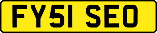 FY51SEO