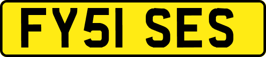 FY51SES