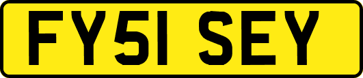 FY51SEY