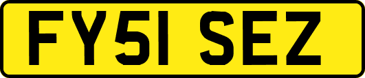 FY51SEZ