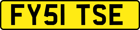 FY51TSE