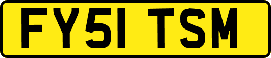 FY51TSM