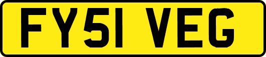FY51VEG