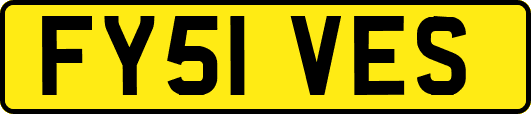 FY51VES