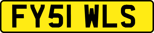 FY51WLS