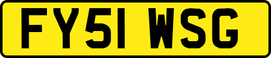 FY51WSG