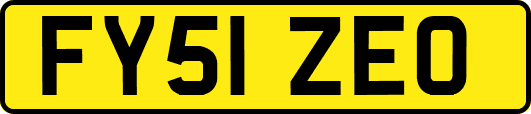 FY51ZEO