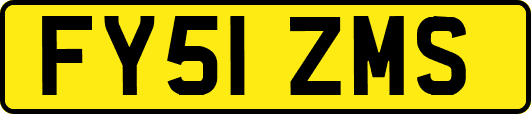 FY51ZMS