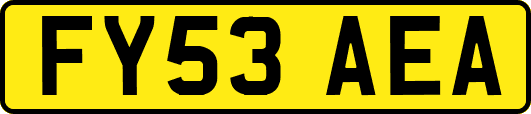 FY53AEA