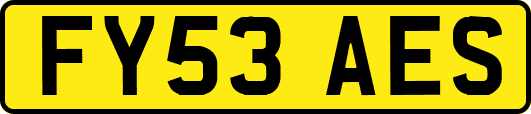 FY53AES