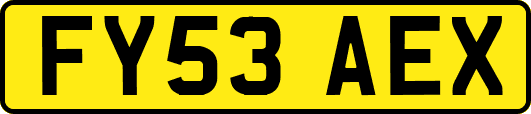 FY53AEX
