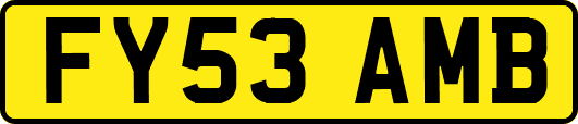 FY53AMB